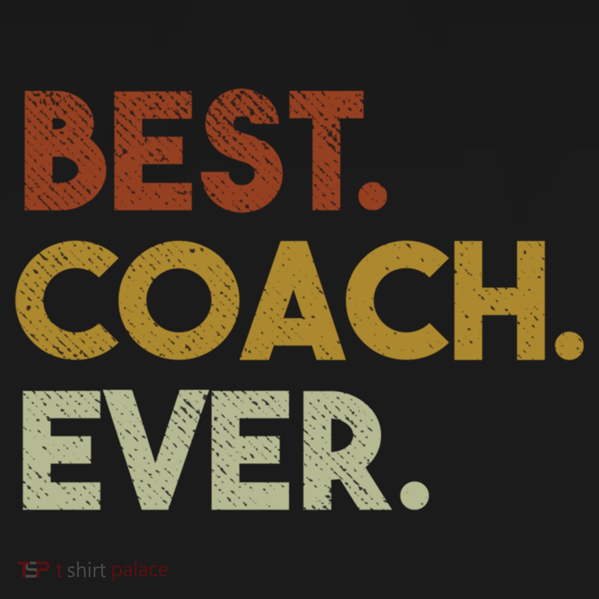 Best Coach Ever Gift For Sports Coach Gift T-Shirt
