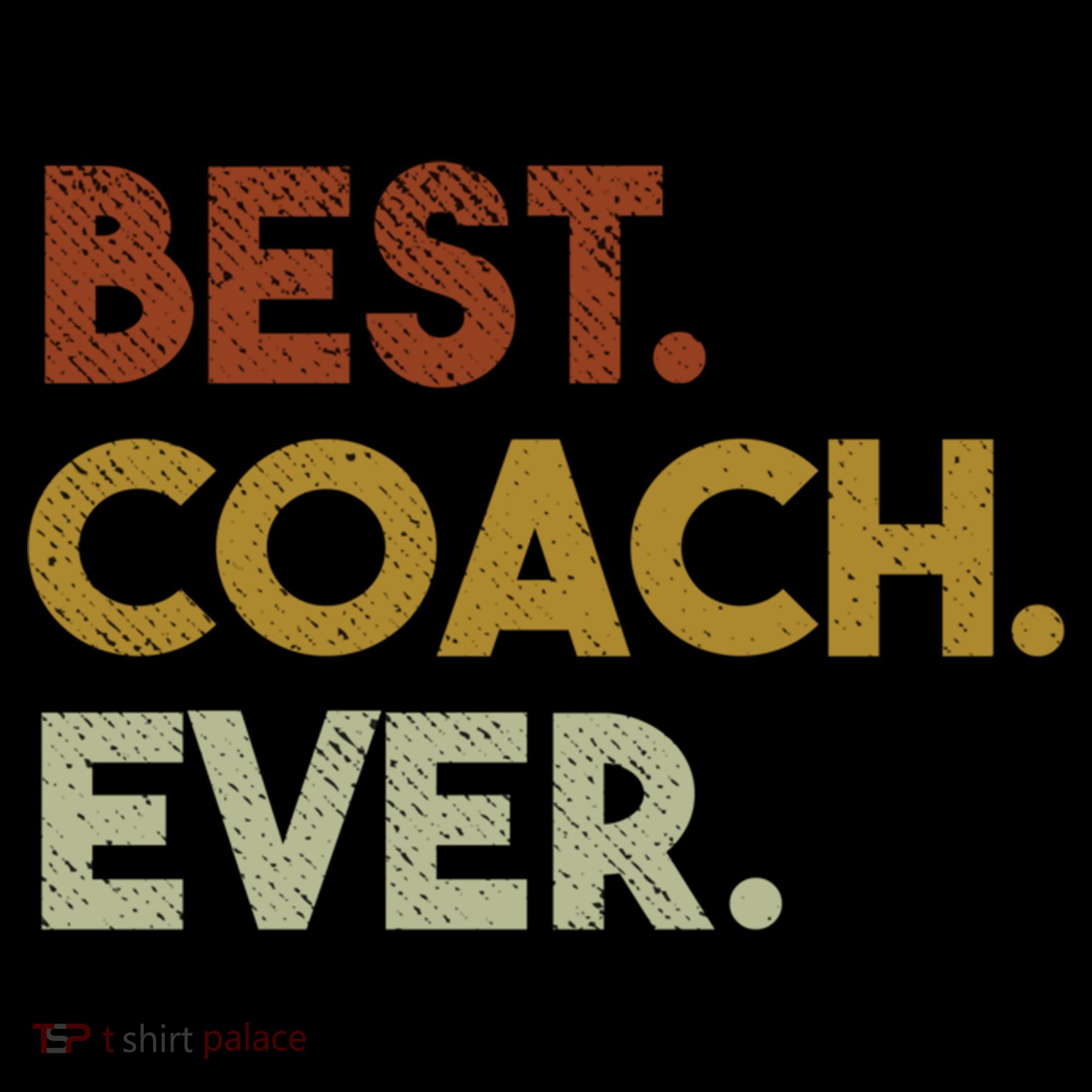 Best Coach Ever Gift For Sports Coach Gift Women's Hoodie