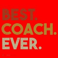Best Coach Ever Gift For Sports Coach Gift Santa Hat thumb 1