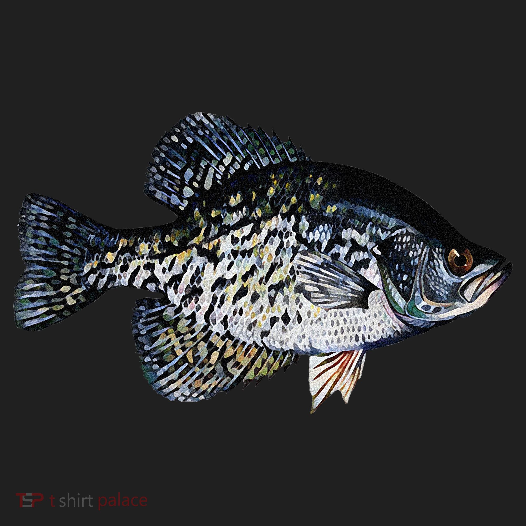 Black Crappie Fish Lucky Crappie Fishing Gift Women's Sweatshirt
