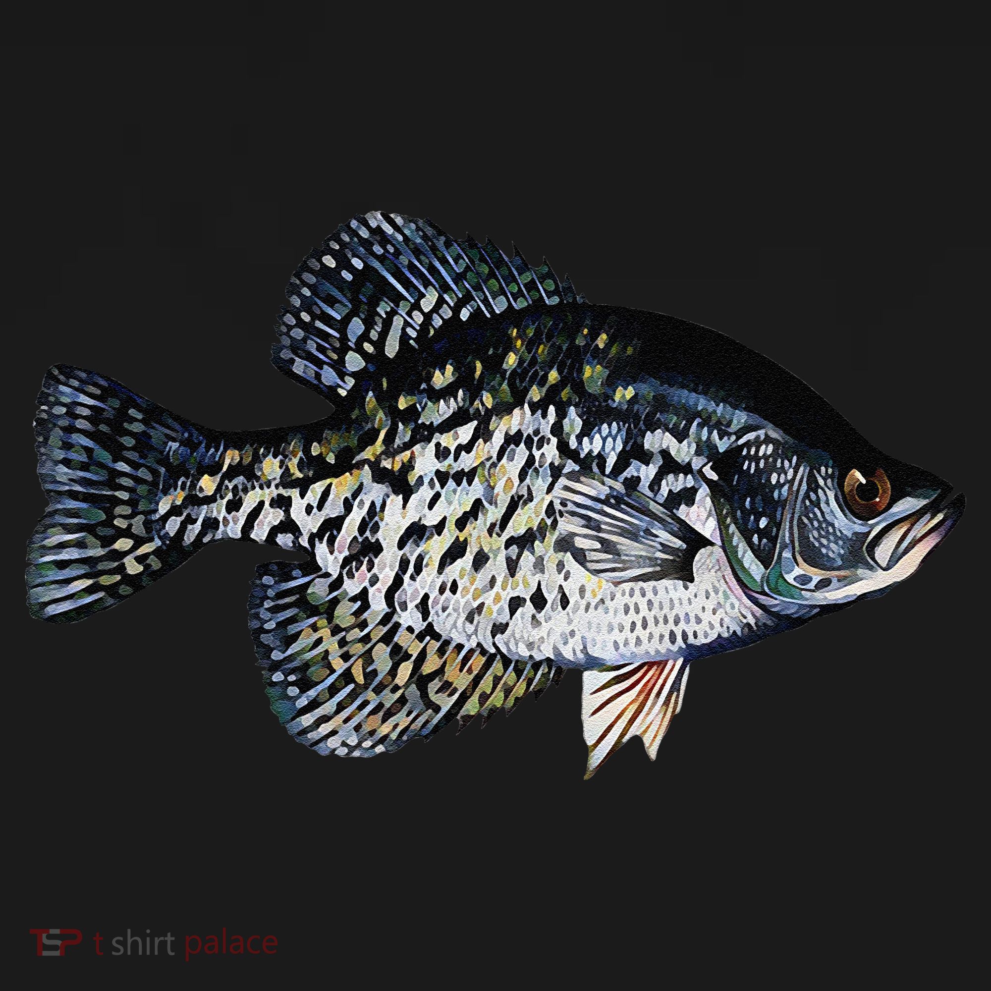 Black Crappie Fish Lucky Crappie Fishing Gift Women's Hoodie