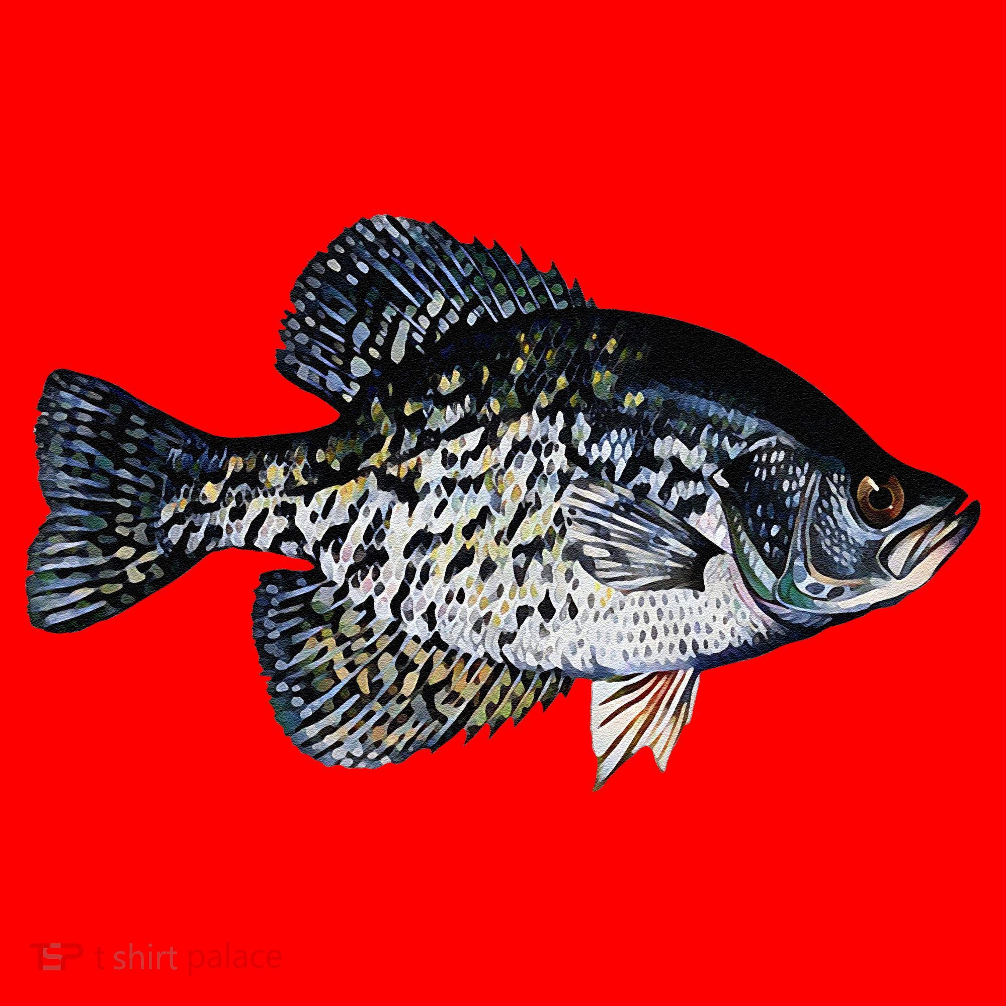 Black Crappie Fish Lucky Crappie Fishing Gift Santa Hat