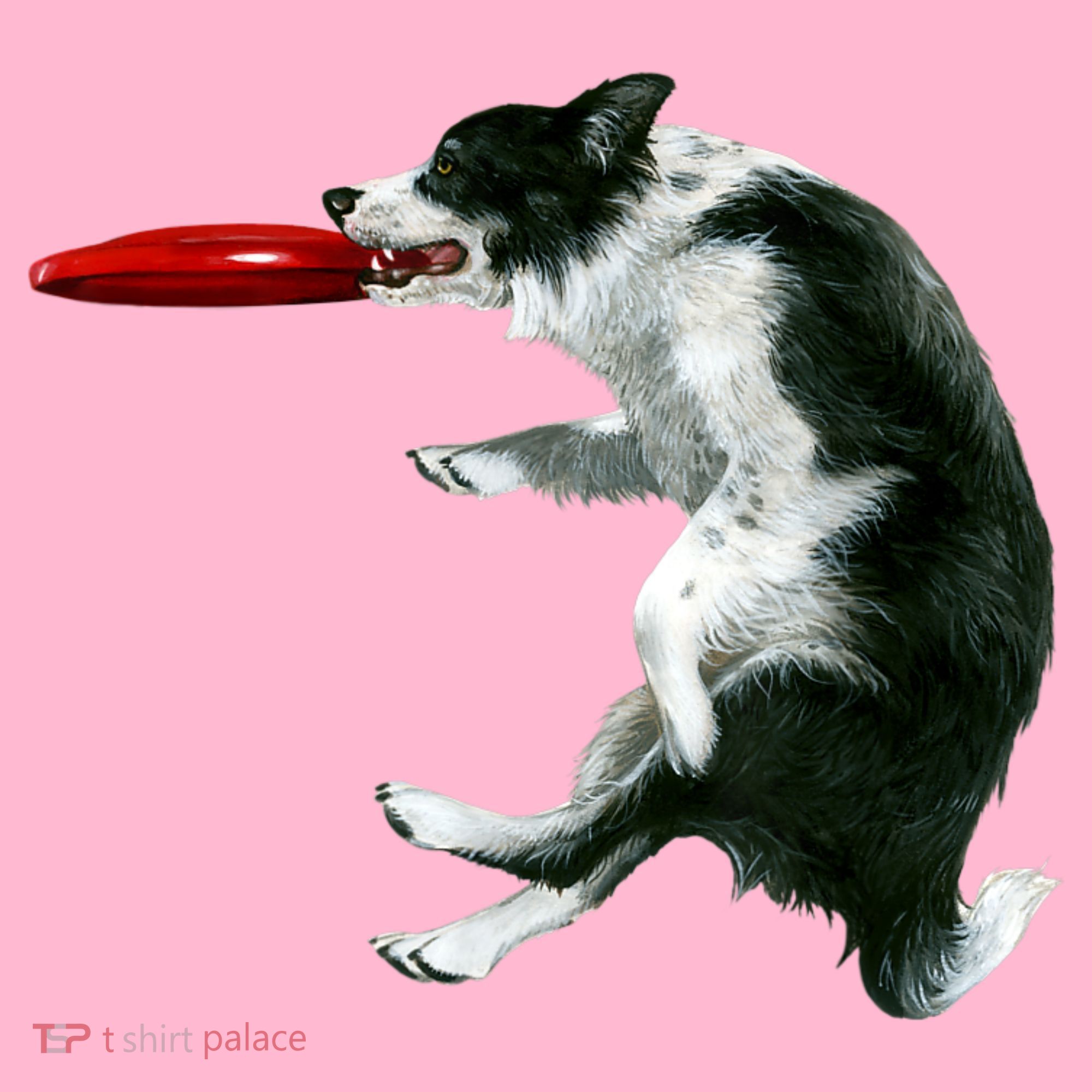 Border Collie Frisbee Graphic Sheepdog Print Gift Coaster