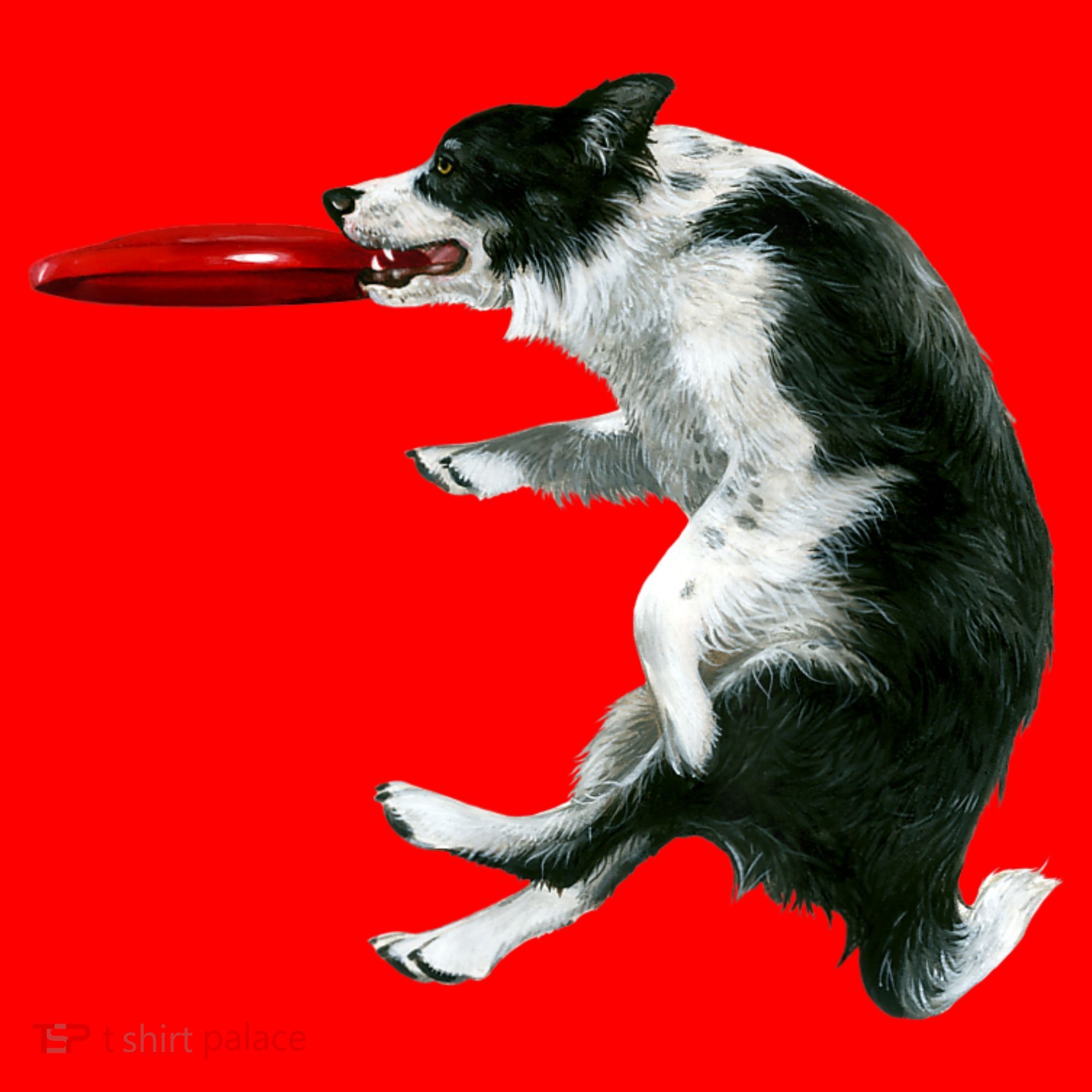 Border Collie Frisbee Graphic Sheepdog Print Gift Santa Hat