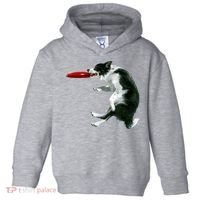 Border Collie Frisbee Graphic Sheepdog Print Gift Toddler Hoodie thumb 0