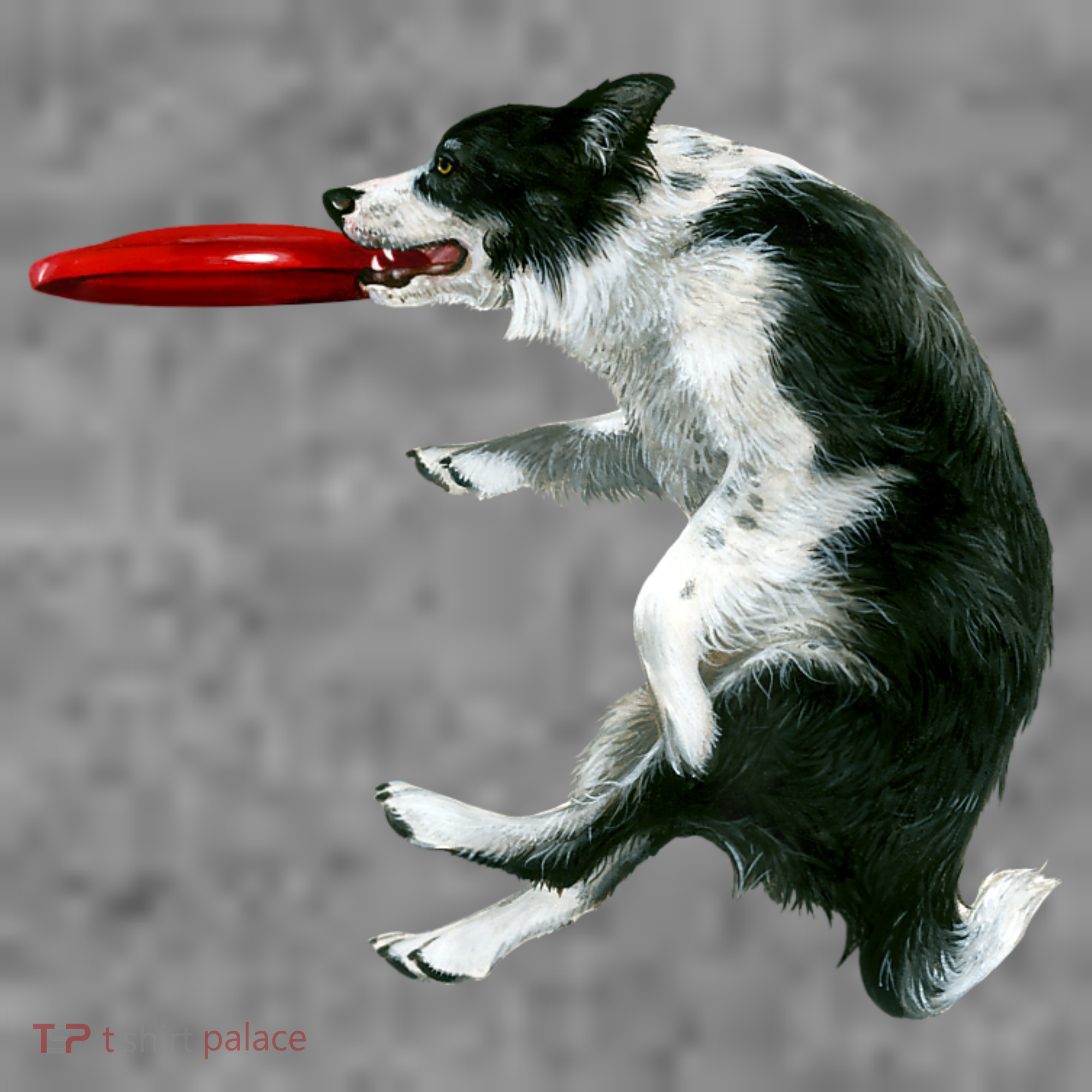 Border Collie Frisbee Graphic Sheepdog Print Gift Toddler Hoodie