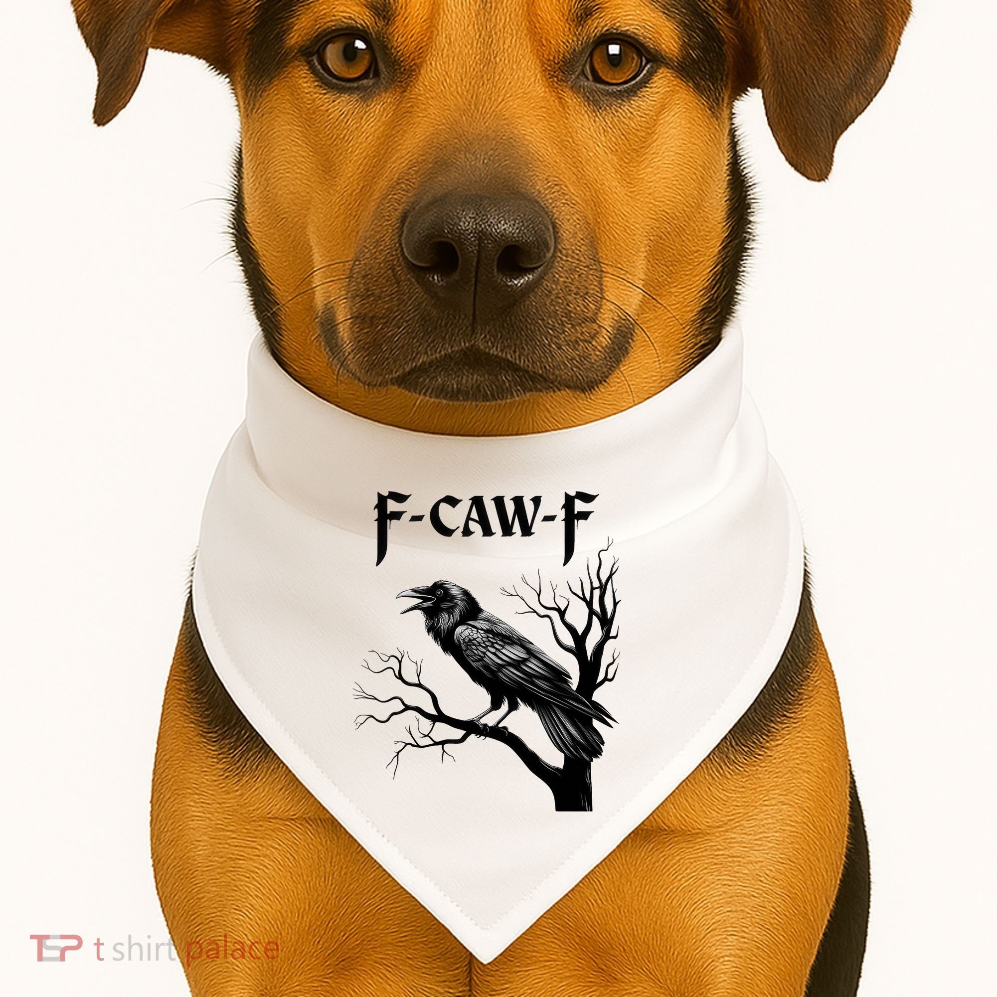 Black Crow, F-Caw-F Black Bird USA-Made Doggie Bandana