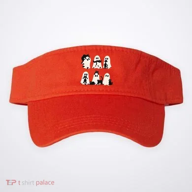 Visor