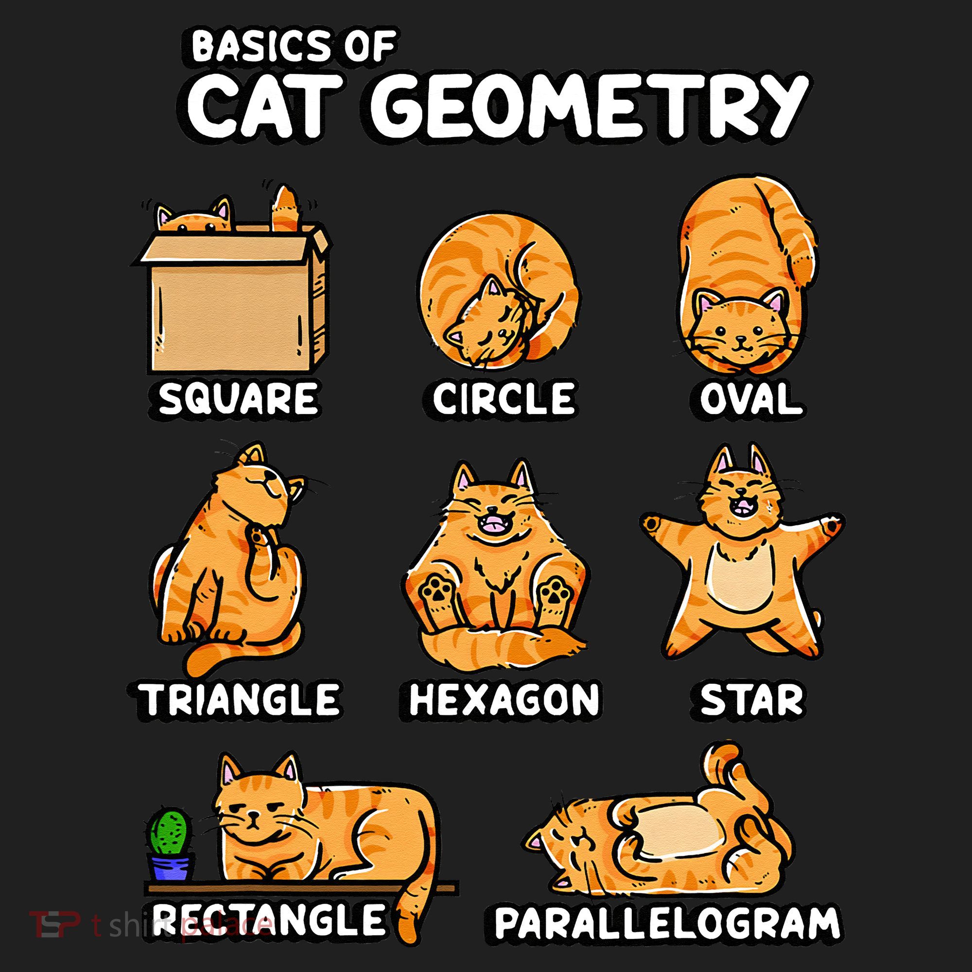 Basic Cat Geometry Cute Cat Cat Lover Cat Owner math school Women's Sweatshirt