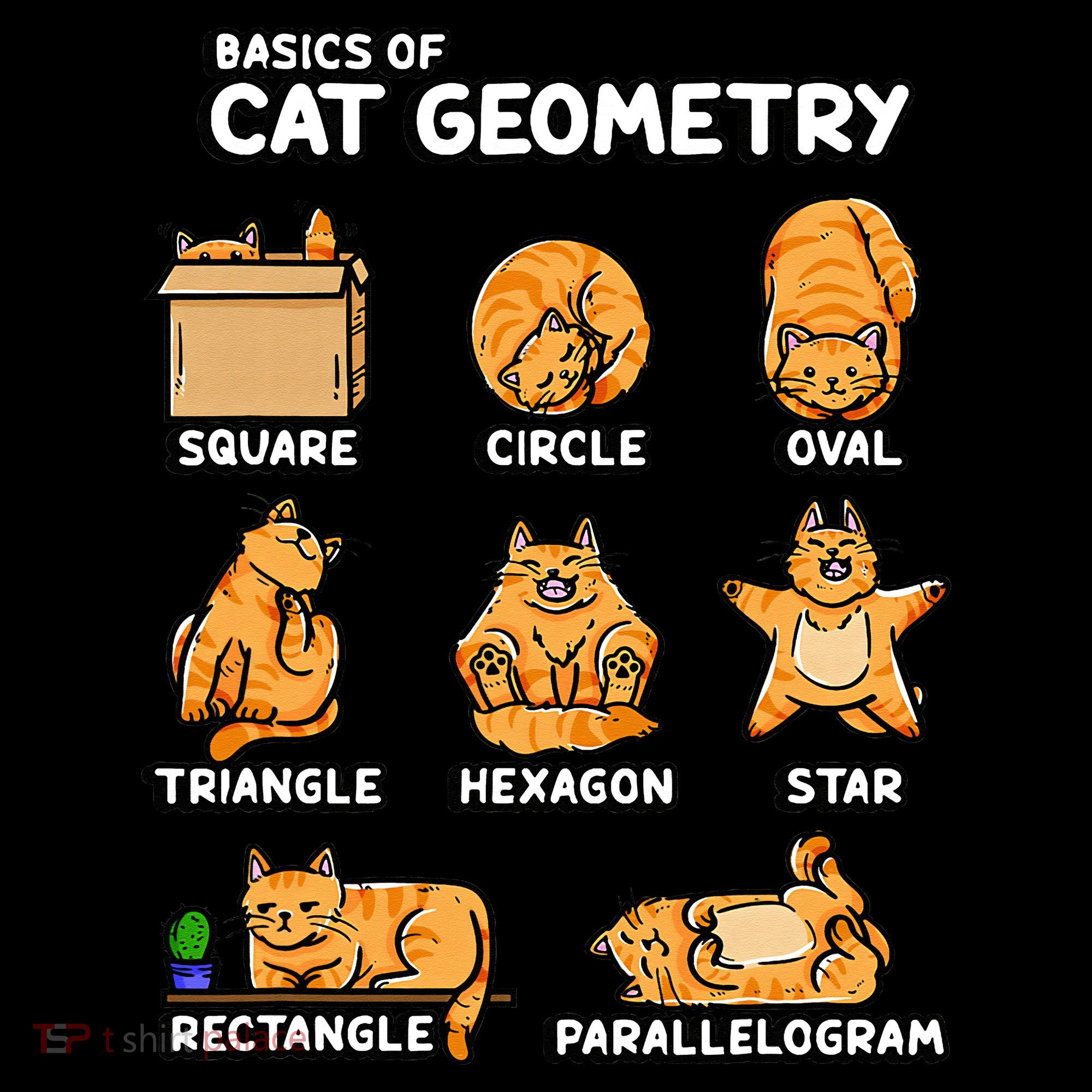Basic Cat Geometry Cute Cat Cat Lover Cat Owner math school Long Sleeve Shirt