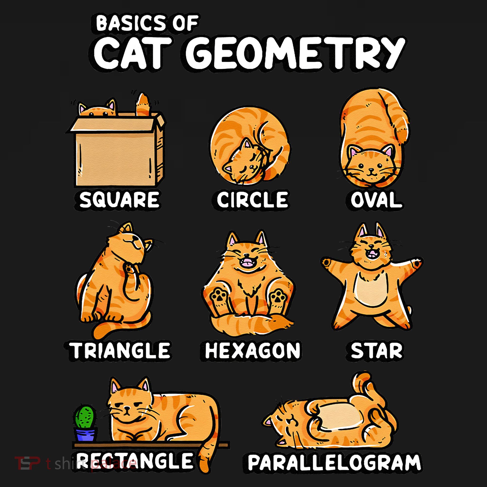 Basic Cat Geometry Cute Cat Cat Lover Cat Owner math school T-Shirt