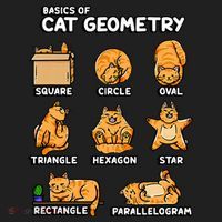 Basic Cat Geometry Cute Cat Cat Lover Cat Owner math school Hat thumb 2