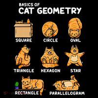 Basic Cat Geometry Cute Cat Cat Lover Cat Owner math school Women's T-Shirt thumb 6