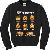 Basic Cat Geometry Cute Cat Cat Lover Cat Owner math school Kids Sweatshirt thumb 0