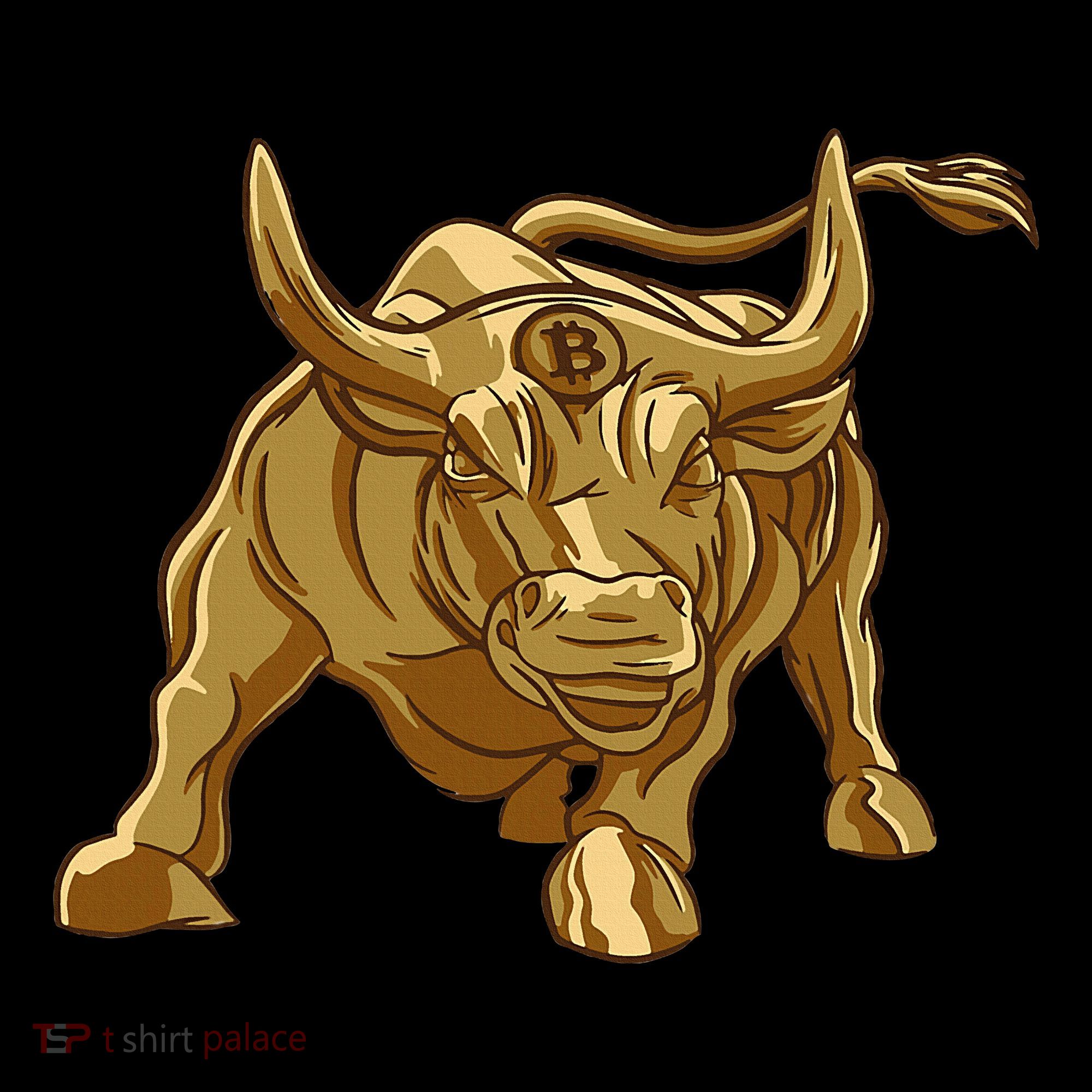 Bitcoin Crypto Golden Bull Btc Graphic Women's Hoodie
