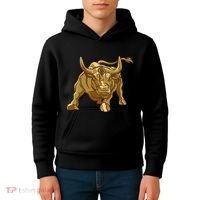 Bitcoin Crypto Golden Bull Btc Graphic Kids Hoodie thumb 4
