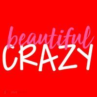 Beautiful Crazy Gift Santa Hat thumb 1