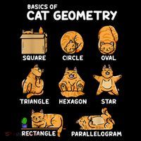 Basic Cat Geometry Cute Cat Cat Lover Cat Owner Math School Ornament thumb 1