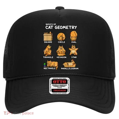 Basic Cat Geometry Cute Cat Cat Lover Cat Owner Math School Hat