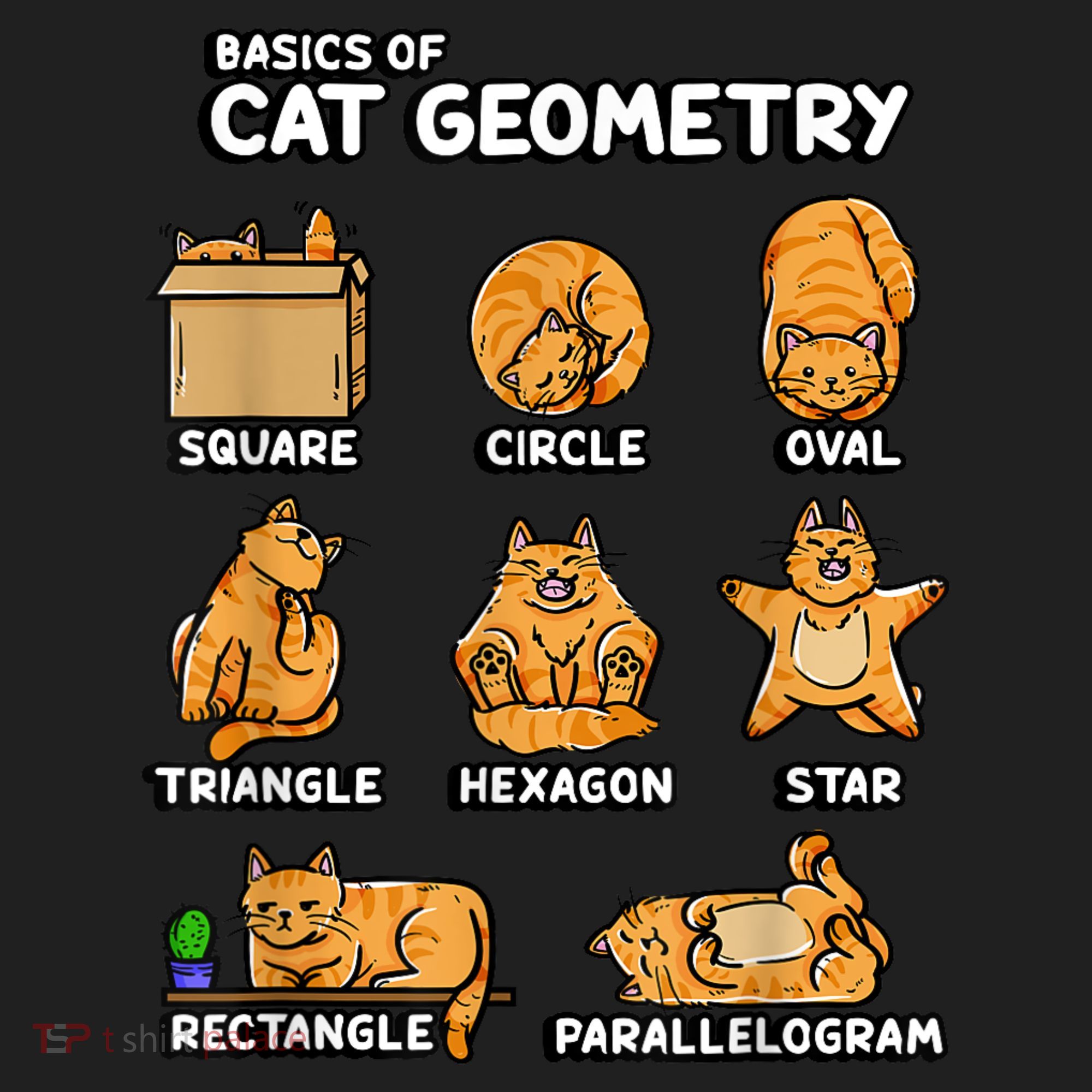 Basic Cat Geometry Cute Cat Cat Lover Cat Owner Math School Hat
