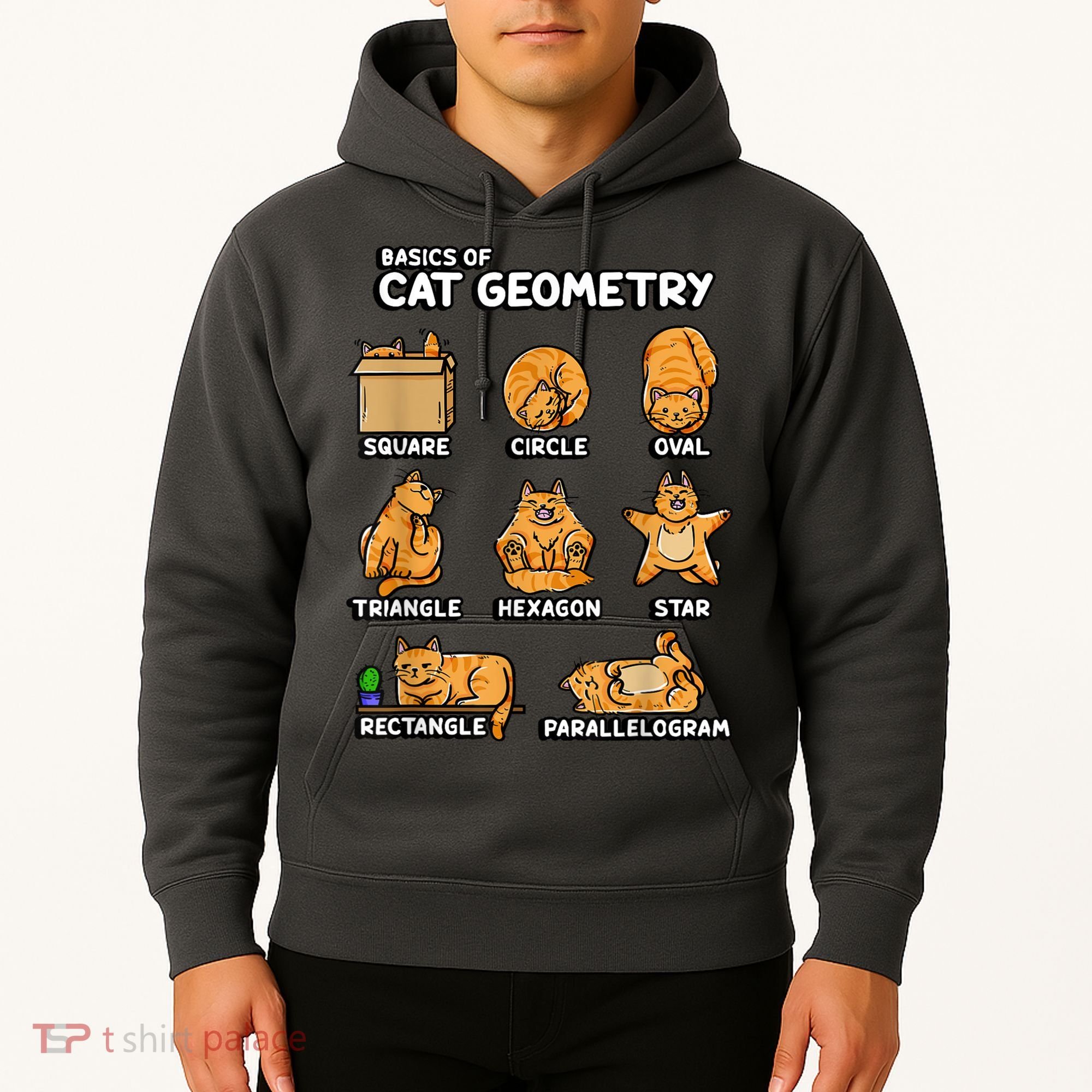 Basic Cat Geometry Cute Cat Cat Lover Cat Owner Math School Hoodie