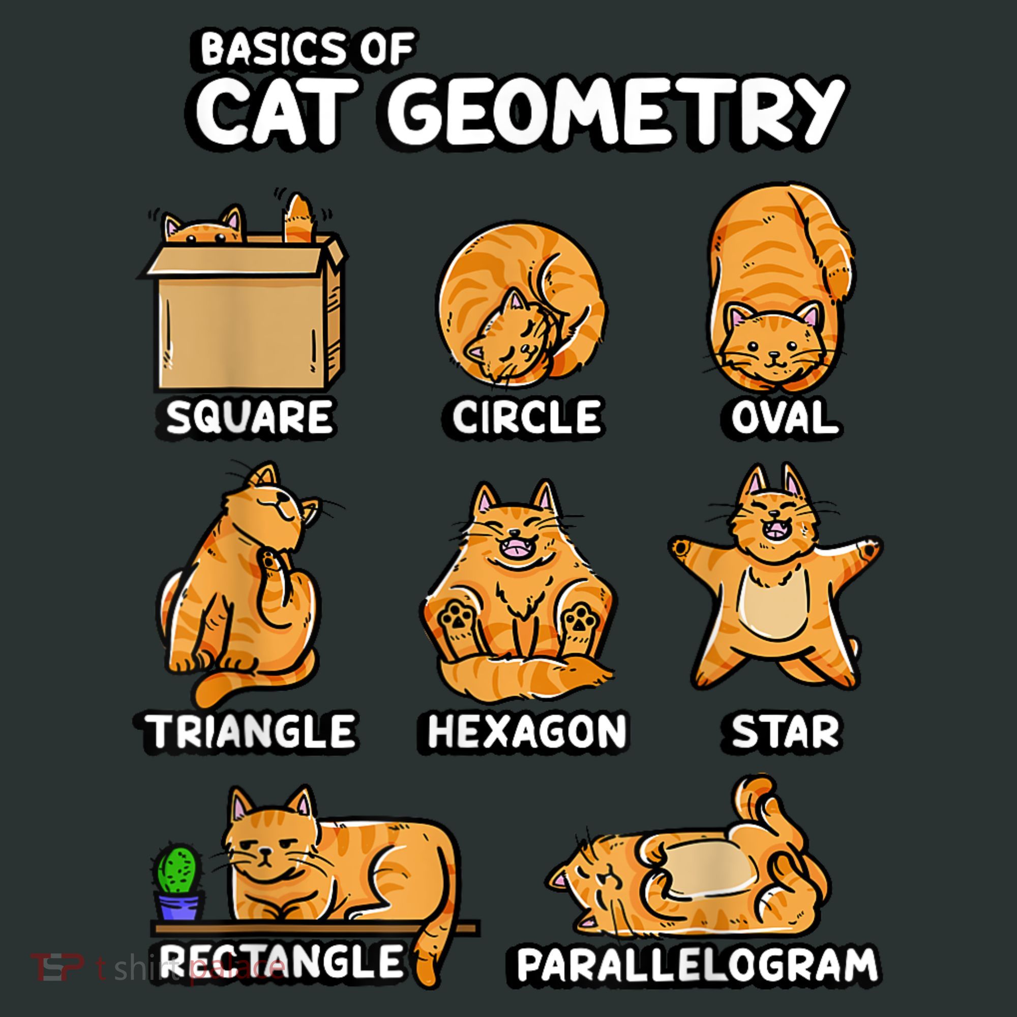 Basic Cat Geometry Cute Cat Cat Lover Cat Owner Math School Coaster