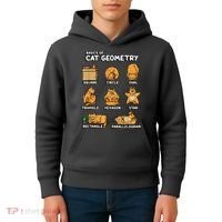 Basic Cat Geometry Cute Cat Cat Lover Cat Owner Math School Kids Hoodie thumb 4