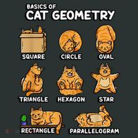 Basic Cat Geometry Cute Cat Cat Lover Cat Owner Math School Kids Long Sleeve Shirt thumb 2