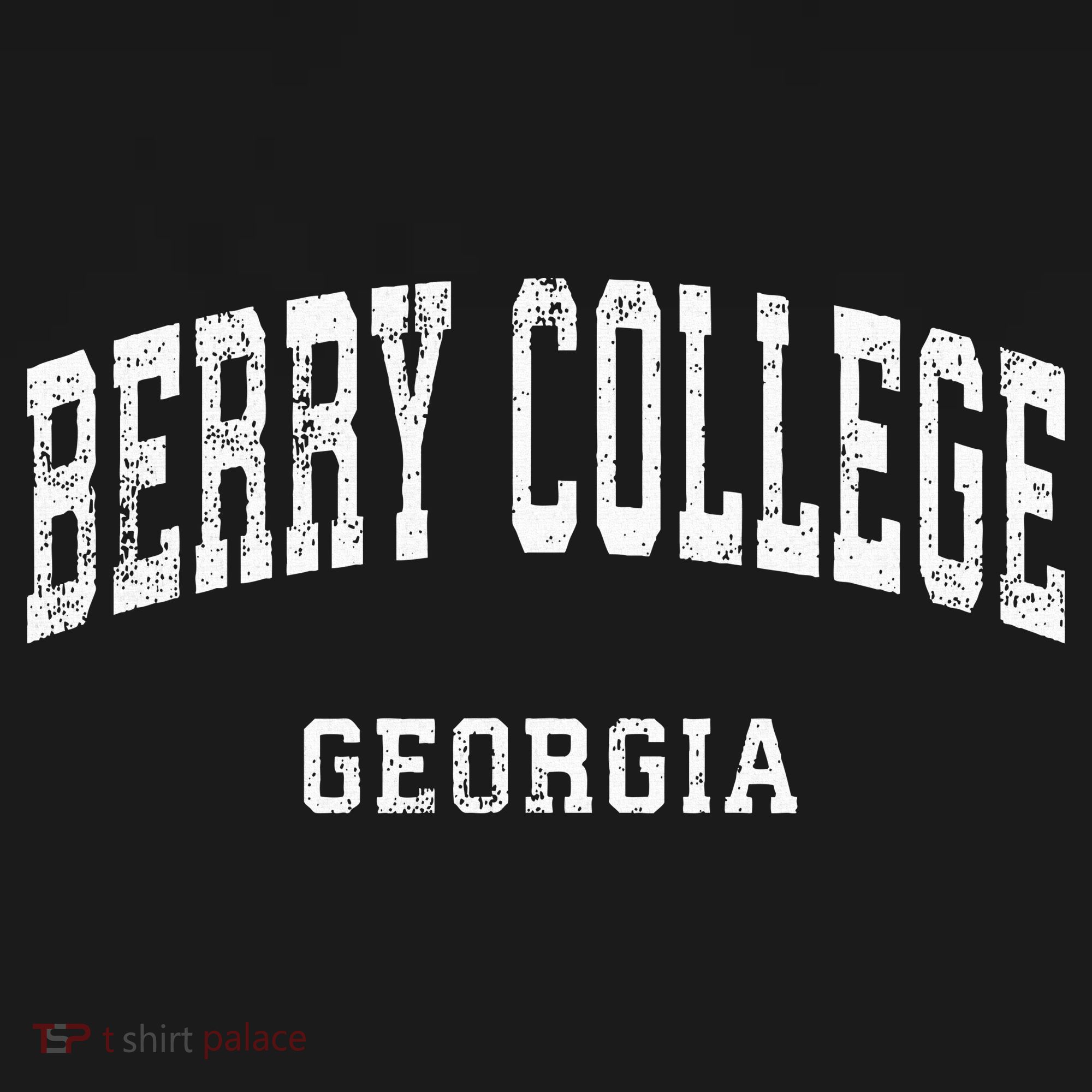 Berry College Georgia Ga Vintage T-Shirt