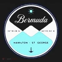 Bermuda Circle Graphic Doggie Tank thumb 4