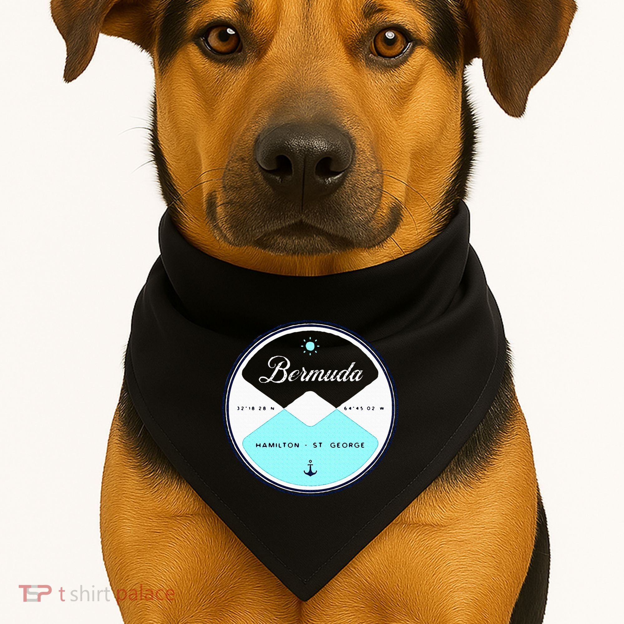 Bermuda Circle Graphic USA-Made Doggie Bandana