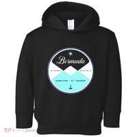 Bermuda Circle Graphic Toddler Hoodie thumb 0