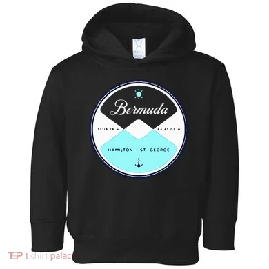Bermuda Circle Graphic Toddler Hoodie