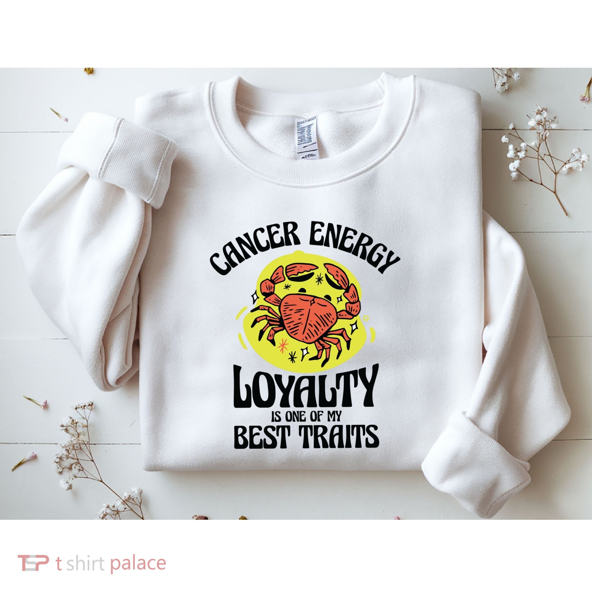 Born Cancer Horoscope Astrological Crab Zodiac Astrology Gift Sweatshirt