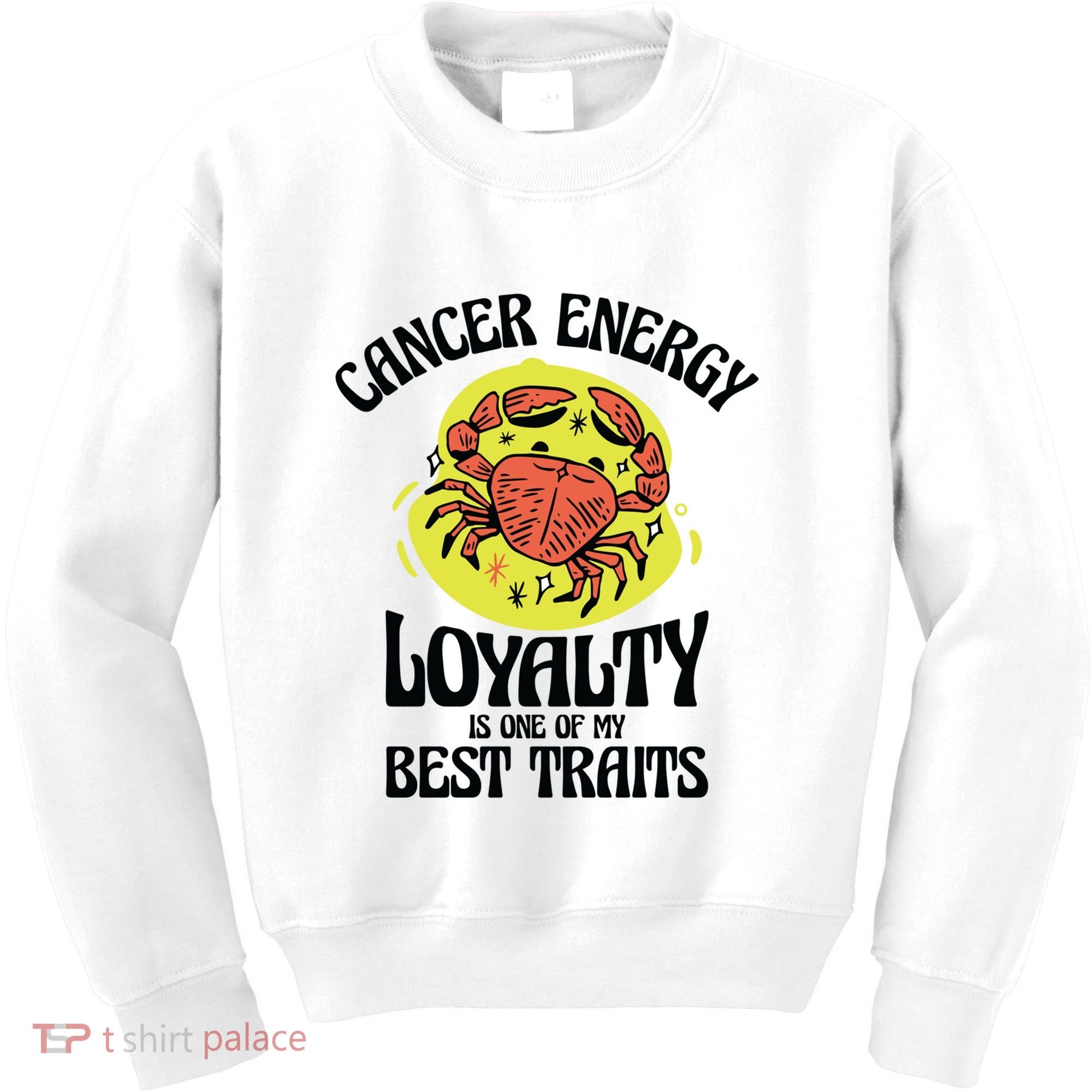 Born Cancer Horoscope Astrological Crab Zodiac Astrology Gift Kids Sweatshirt