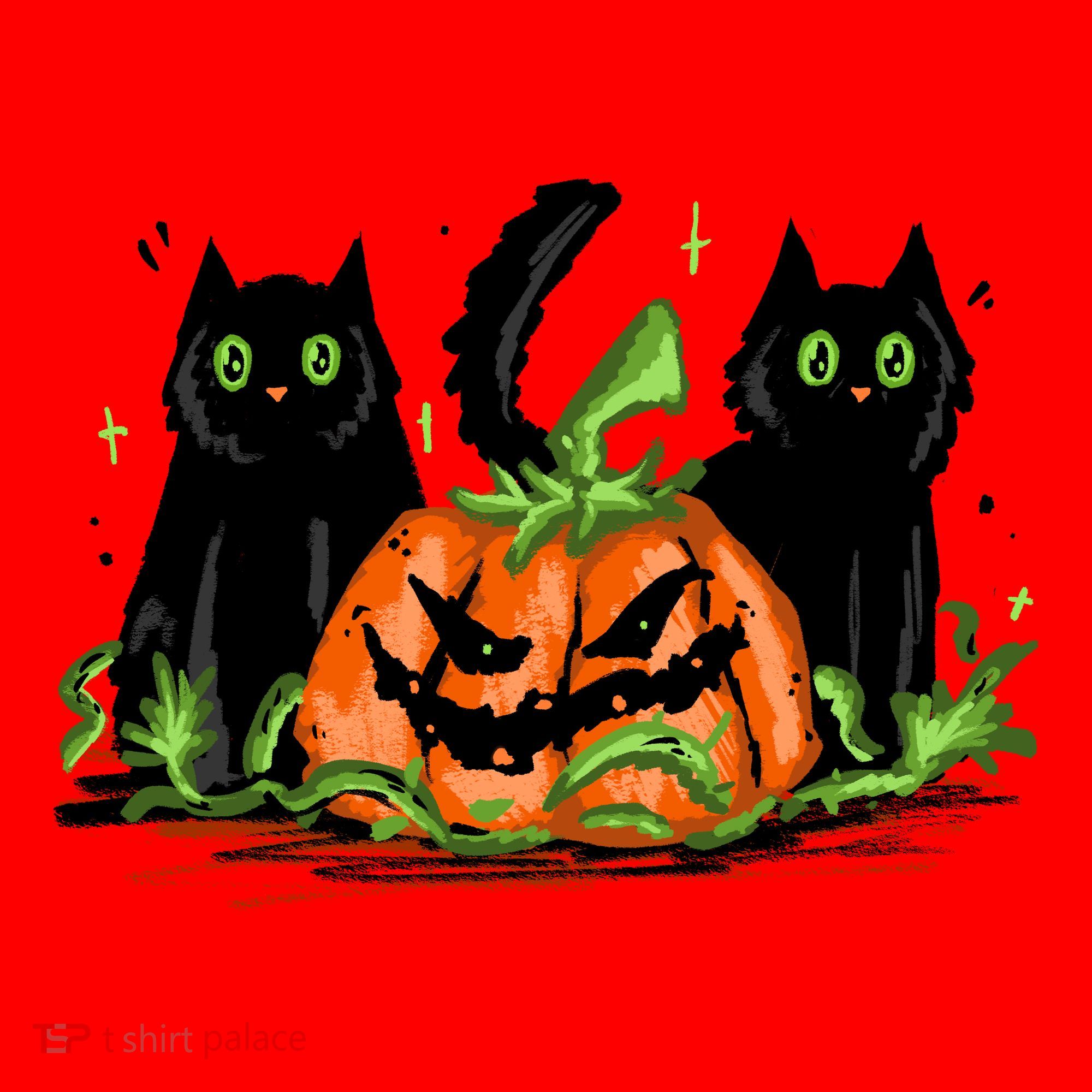 Black Cat Halloween Cute Pumpkin Santa Hat