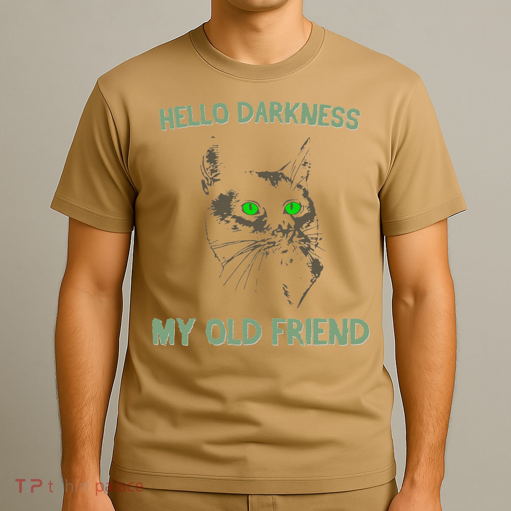 Black Cat Hello Darkness My Old Friend T-Shirt