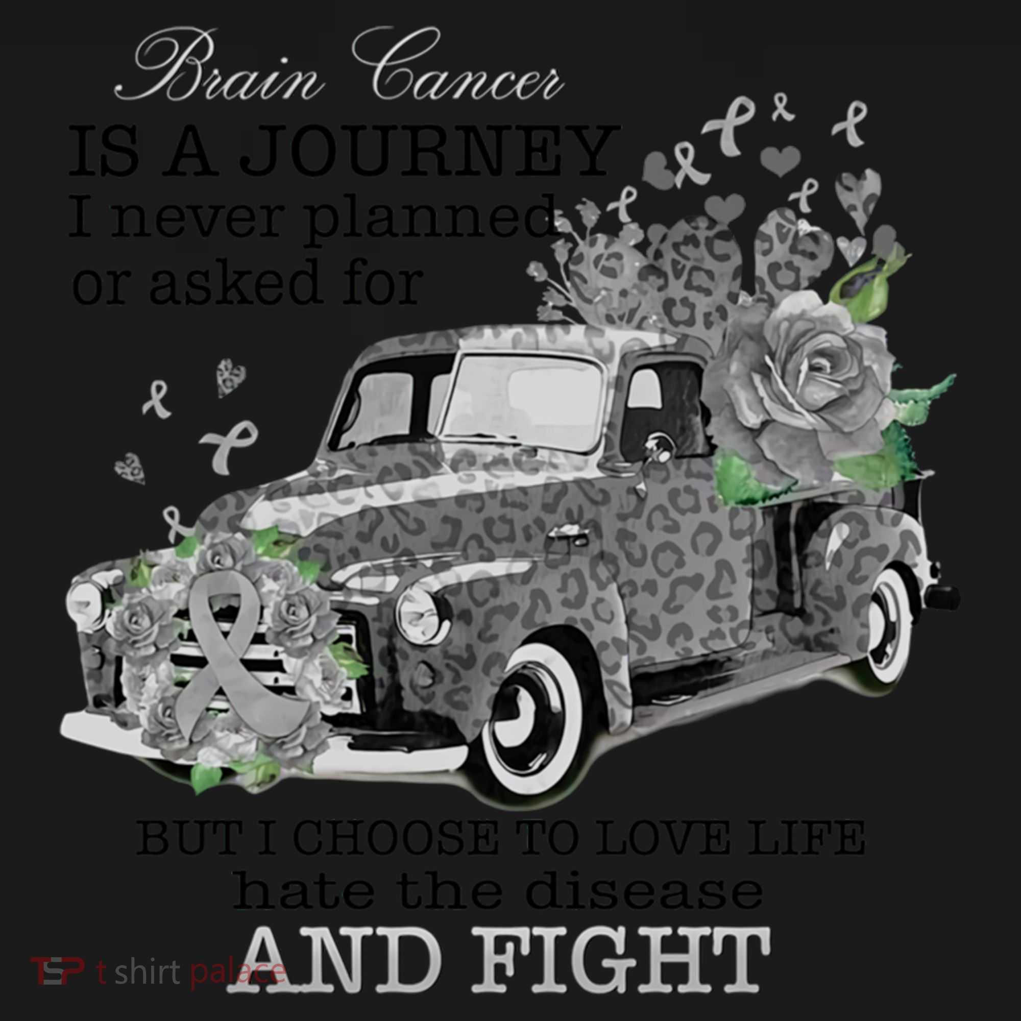 Brain Cancer Is A Journey Brain Cancer Awareness Gift Women's Hoodie