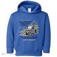 Brain Cancer Is A Journey Brain Cancer Awareness Gift Toddler Hoodie thumb 0