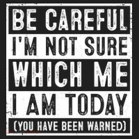 Be Careful I'm Not Sure Which Me I Am Today You Have Been Warned Beanie thumb 2