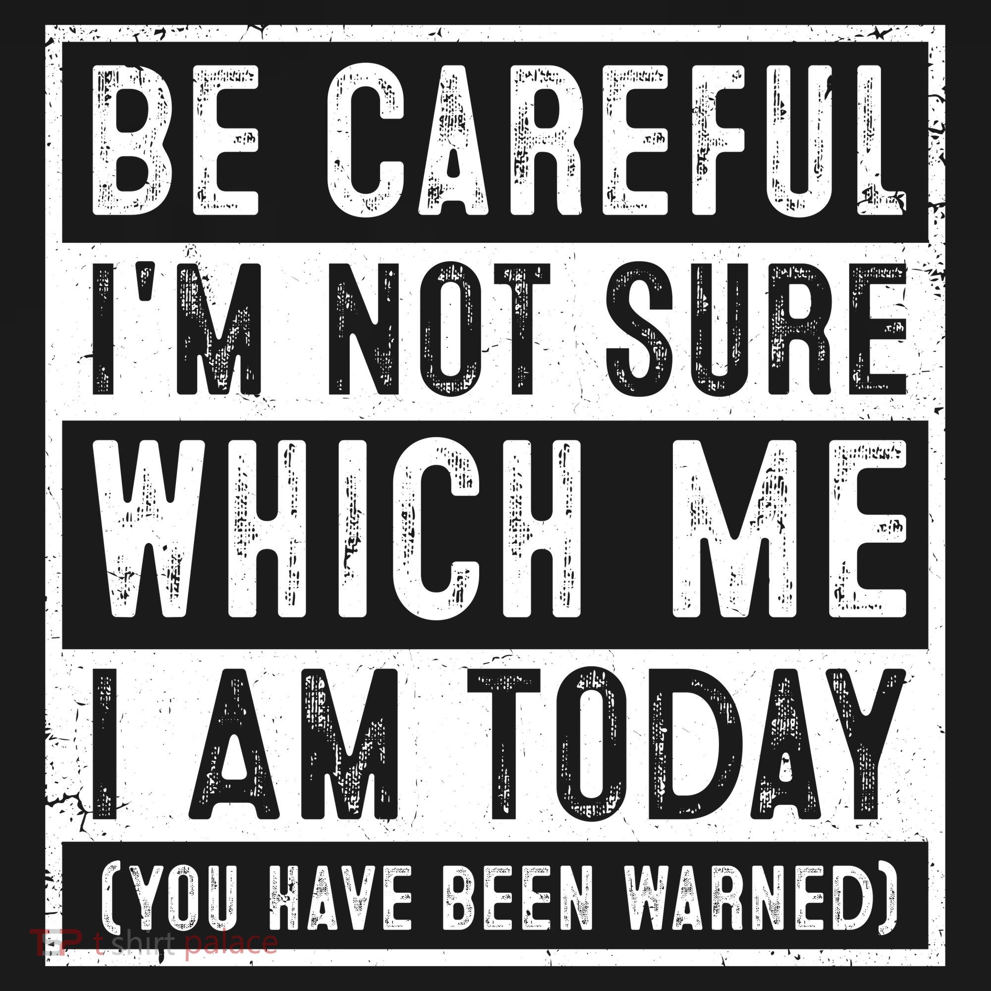 Be Careful I'm Not Sure Which Me I Am Today You Have Been Warned Women's Hoodie