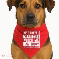 Be Careful I'm Not Sure Which Me I Am Today You Have Been Warned USA-Made Doggie Bandana thumb 1
