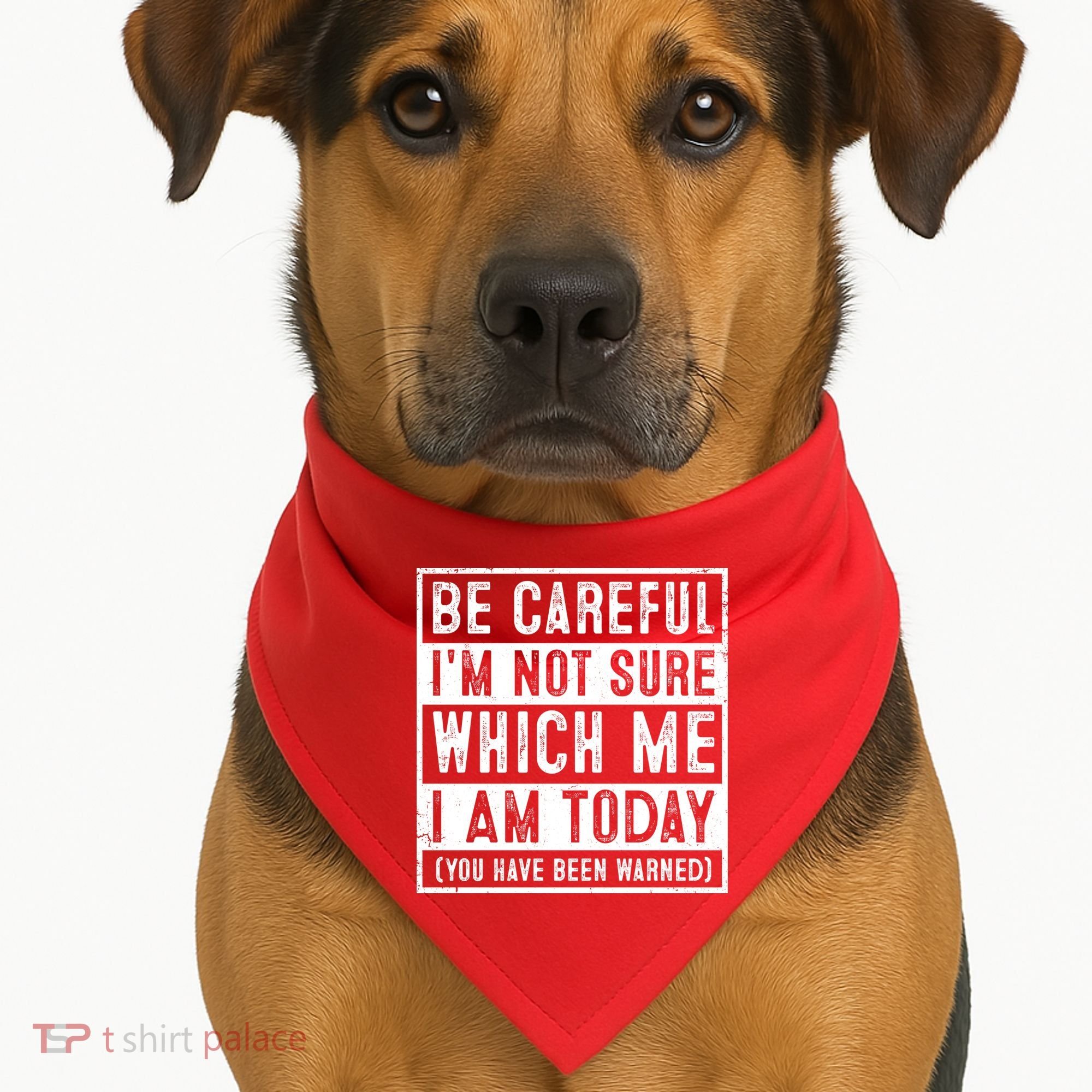 Be Careful I'm Not Sure Which Me I Am Today You Have Been Warned USA-Made Doggie Bandana