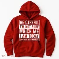 Be Careful I'm Not Sure Which Me I Am Today You Have Been Warned Hoodie thumb 0