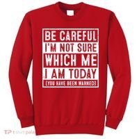 Be Careful I'm Not Sure Which Me I Am Today You Have Been Warned Sweatshirt thumb 0