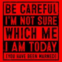 Be Careful I'm Not Sure Which Me I Am Today You Have Been Warned Santa Hat thumb 1