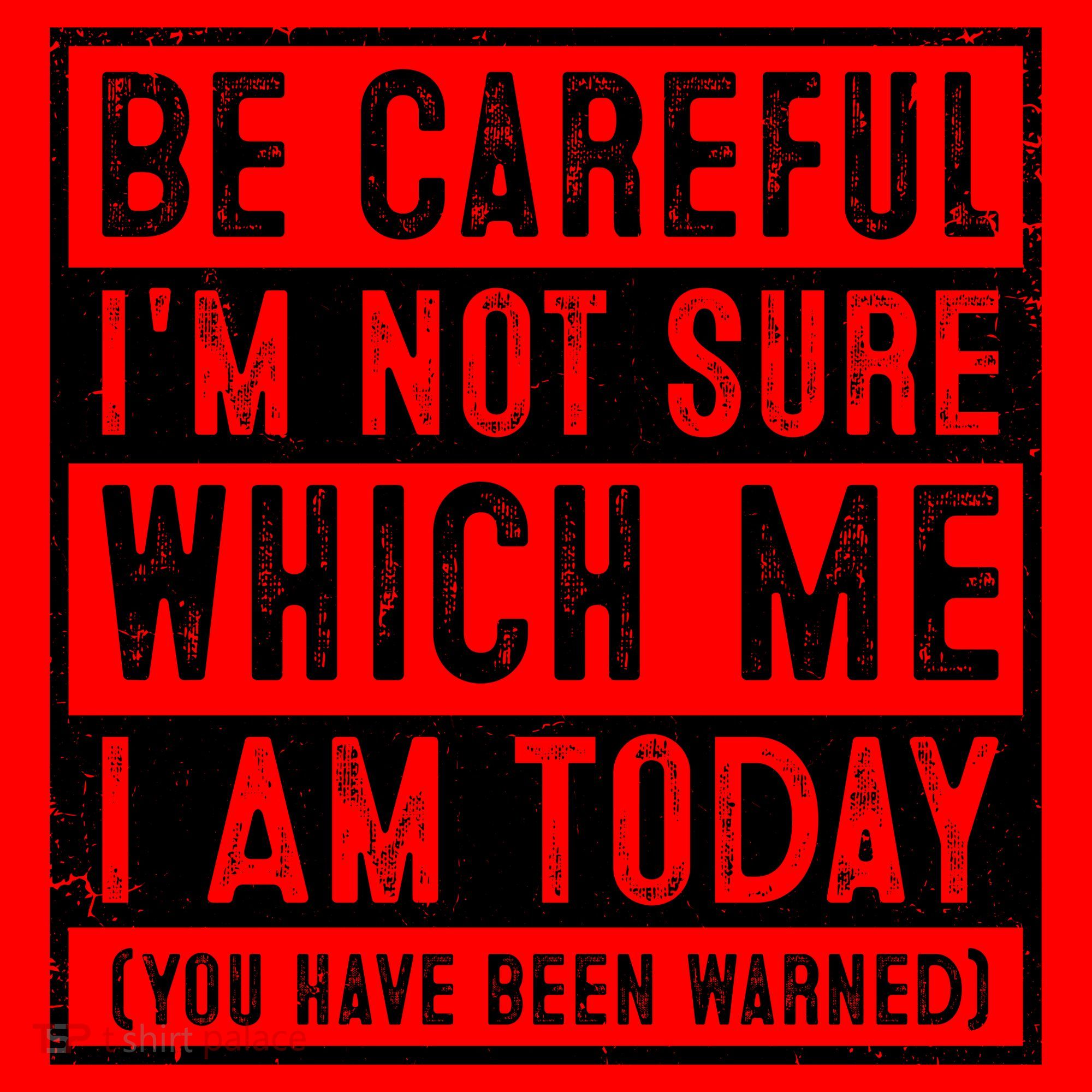 Be Careful I'm Not Sure Which Me I Am Today You Have Been Warned Santa Hat