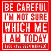 Be Careful I'm Not Sure Which Me I Am Today You Have Been Warned Hat thumb 2