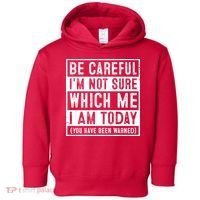 Be Careful I'm Not Sure Which Me I Am Today You Have Been Warned Toddler Hoodie thumb 0