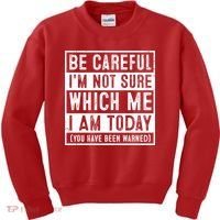 Be Careful I'm Not Sure Which Me I Am Today You Have Been Warned Kids Sweatshirt thumb 0